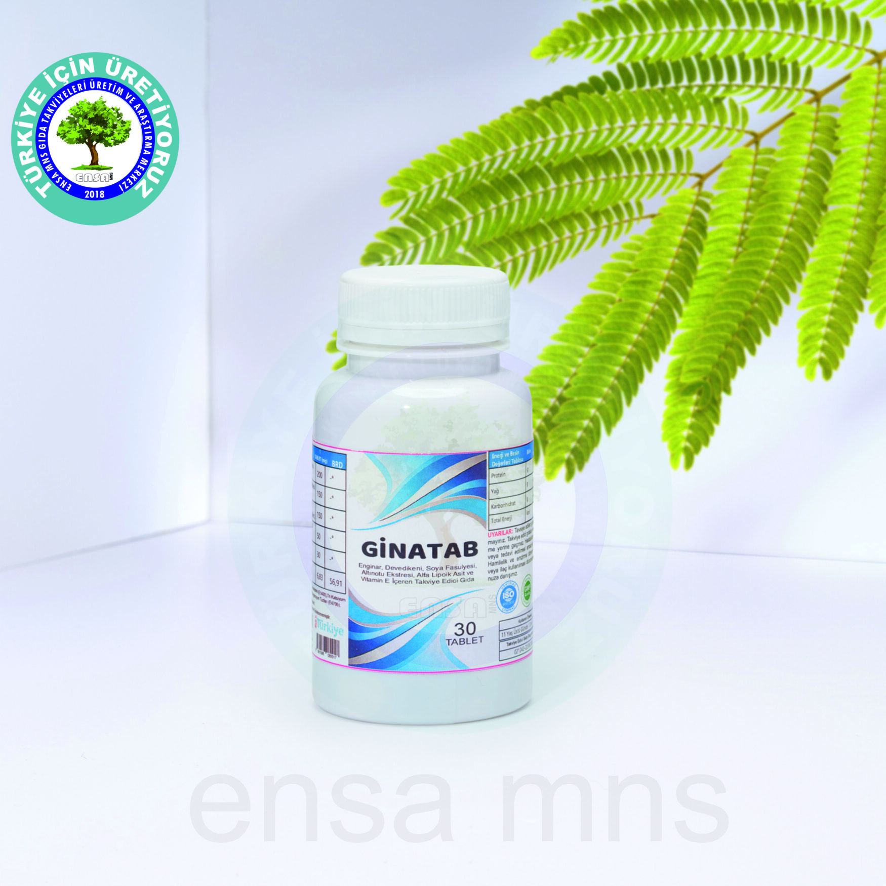 Ginatab