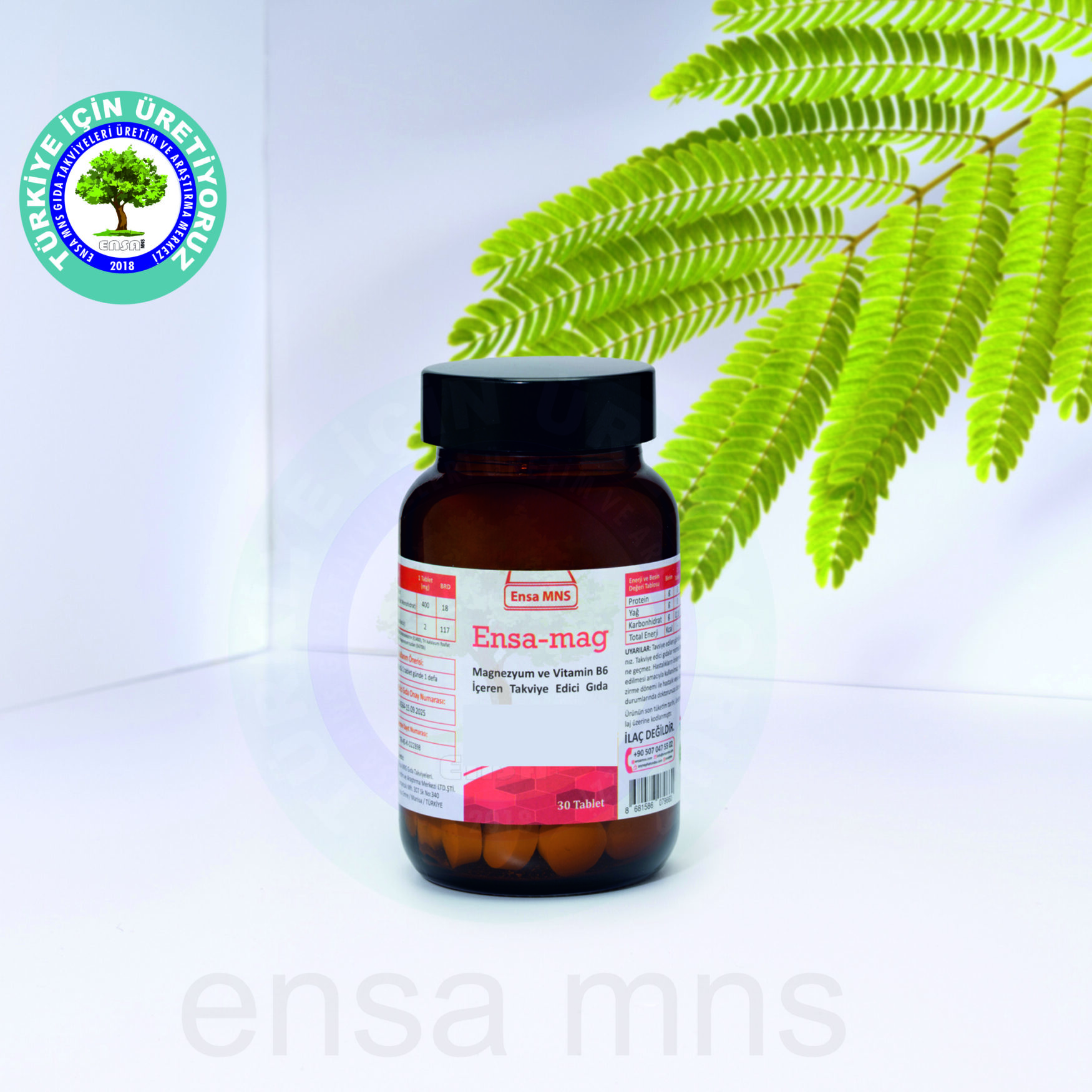 Ensa Mag
